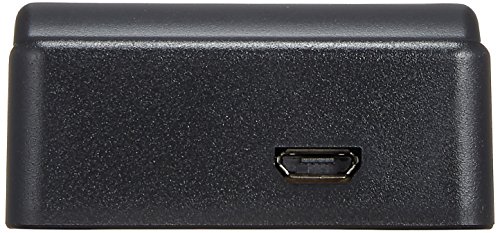 NinoLite USB型 バッテリー用 充電器 海外用交換プラグ付き BP-208 等対応 カメラ バッテリー チャージャー