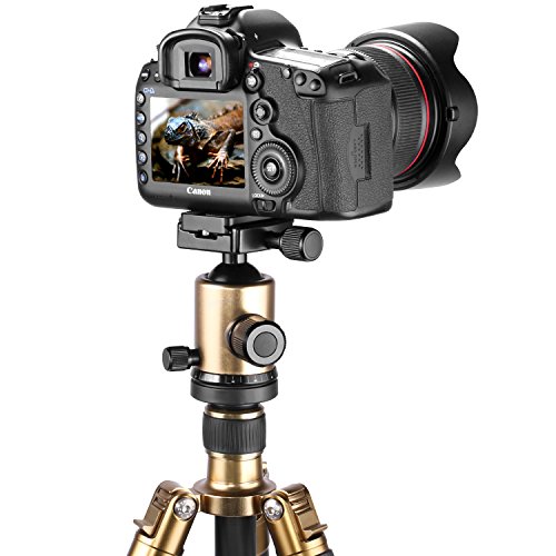 Neewer メタルPU-60 60mmユニバーサルクイックシュープレート　2個入り　1/4インチスクリュー付き　Arca-Swiss規格に適用　カメラ三脚ボールヘッドに対応「黒」