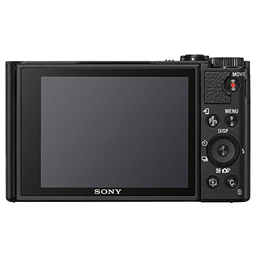 ソニー SONY コンパクトデジタルカメラ サイバーショット Cyber-shot DSC-WX700[WEB専用モデル]