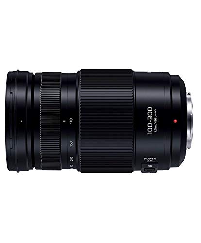 パナソニック 超望遠ズームレンズ マイクロフォーサーズ用 ルミックス G VARIO 100-300mm/F4.0-5.6 II /POWER O.I.S. H-FSA100300