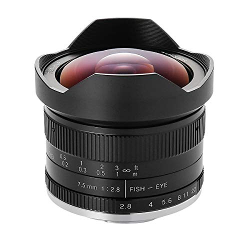 【国内正規品】 七工匠 7Artisans 単焦点レンズ 7.5mm F2.8 Fish-eye II (ソニーE (APS-C), ブラック)