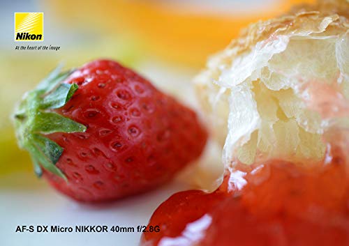 Nikon 単焦点マイクロレンズ AF-S DX Micro NIKKOR 40mm f/2.8G ニコンDXフォーマット専用