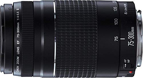 Canon EFレンズ EF75-300mm F4-5.6 IIIズームレンズ 望遠 並行輸入品