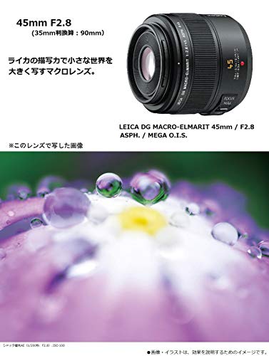 Panasonic マイクロフォーサーズ用 ライカ DG MACRO-ELMARIT 45mm F2.8 ASPH. MEGA O.I.S 単焦点 マクロレンズ H-ES045