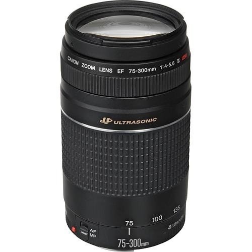 Canon EFレンズ EF75-300mm F4-5.6 IIIズームレンズ 望遠 並行輸入品