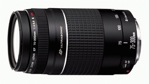 Canon EFレンズ EF75-300mm F4-5.6 IIIズームレンズ 望遠 並行輸入品