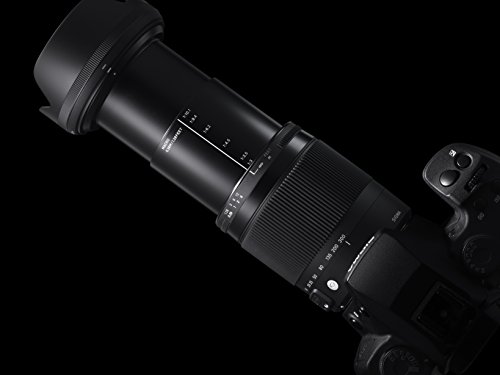 SIGMA 高倍率ズームレンズ Contemporary 18-300mm F3.5-6.3 DC MACRO OS HSM ニコン用 APS-C専用 886554