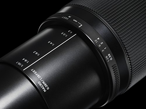 SIGMA 高倍率ズームレンズ Contemporary 18-300mm F3.5-6.3 DC MACRO OS HSM ニコン用 APS-C専用 886554