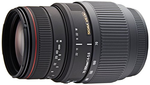 SIGMA 望遠ズームレンズ APO 70-300mm F4-5.6 DG MACRO ソニー用 フルサイズ対応 508340