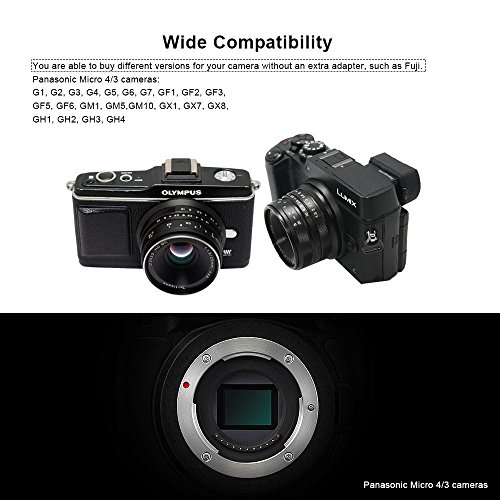 7artisans 単焦点レンズ 25mm F1.8 マニュアルフォーカス Panasonic Olympus M4/3マウントミラーレス一眼カメラ対応 GH1 GH2 GH3 GH4 GH5 GH5S E-PL1 PL2 PL3 PL6 PL5 PL7 E-M1 M5 M10II III 適用-ホワイト