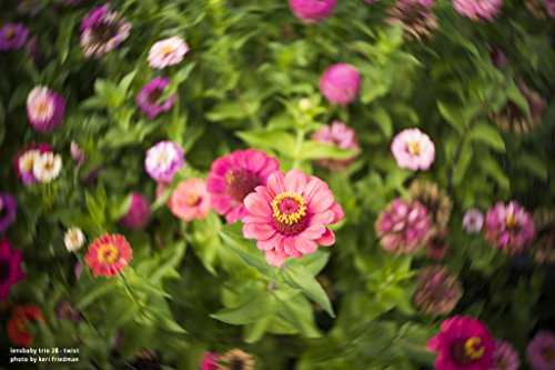 Lensbaby 単焦点レンズ Trio 28 28mm F3.5 フジフイルム Xマウント Sweet/Velvet/twist切替式 マニュアルフォーカス シルバー