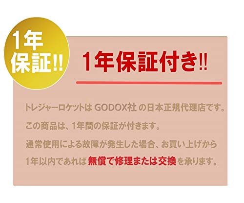 日本正規代理店 Godox Ving V860IIS スピードライト 【TTL 技適マーク 日本語説明書 1年保証付 セット品】