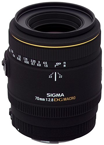 SIGMA レンズフード LH620-01