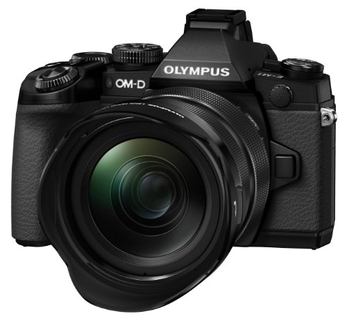 OLYMPUS マイクロフォーサーズレンズ 12-40mm F2.8用 花形レンズフード LH-66