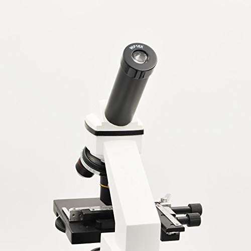 AOPWELL WF16X顕微鏡接眼レンズ 取り付けサイズ23 mm