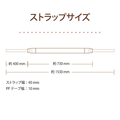 Swimming Fly SF&Gネックストラップ カメラストラップ 一眼レフ用 マルチストライプ (レッド) ライン/ボーダー SFN-048