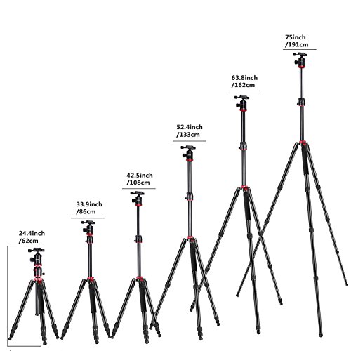 Neewer カメラ三脚一脚　回転式センターコラム付き　パノラマ撮影用　アルミ合金製　75inch/ 191cm　360度ボールヘッド付き　DSLRカメラ、ビデオカメラに対応　最大耐荷重12kg