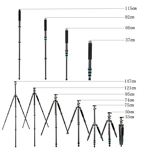 Bonfoto B674C 三脚 カーボン製 ボータブル 一脚可変式 中空のボールヘッド 4段 一眼レフ ビテオ カメラに対応