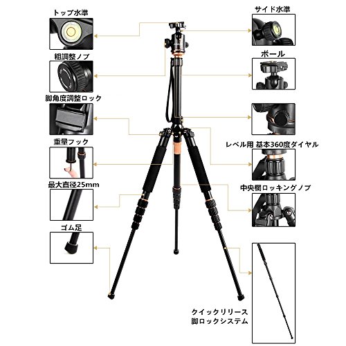 Andoer プロ用 アルミ合金製 四段 三脚一脚+自由雲台 軽量コンパクト 取り外し可能なボール雲台搭載 ポータブル 折りたたみ可能 拡張可能 最大高さ約153cmに達する Canon Nikon Sony デジタル一眼レフカメラ用