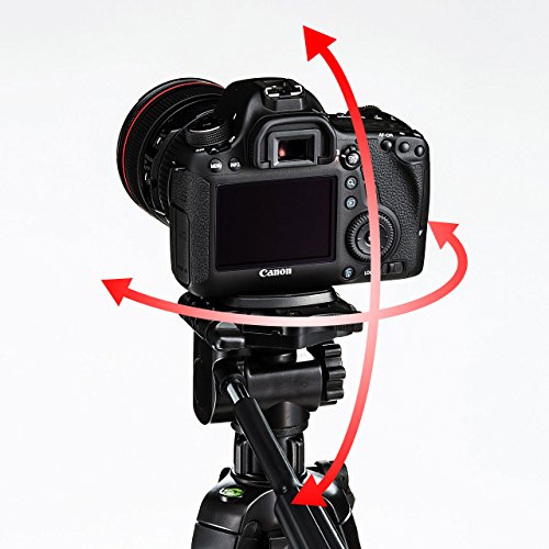 サンワサプライ 一眼レフデジカメ＆ビデオカメラ対応マルチスタンド ３段タイプ DG-CAM21