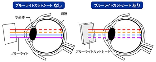 目に優しい ブルーライトカット液晶保護フィルム JVC ハイビジョンメモリームービー GZ-RX670 / GZ-R470 用 OverLay Eye Protector OEGZRX670/12