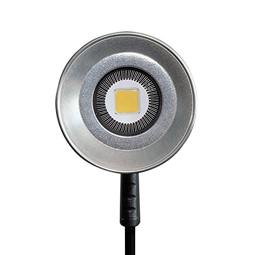 YONGNUO YN100LED 単色 LEDビデオライト 定常光ライト 100wLEDランプビーズ搭載 5500K 照明・撮影ライト ACアダプター付き