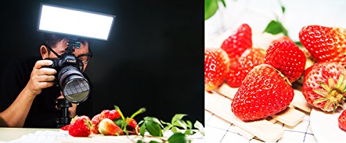 Viltrox L132T プロ 超薄型 LED ビデオライト 写真 フィルライト 輝度とデュアル色温度 調整可能 最大輝度 1065LM 3300K-5600K CRI95+ キヤノン ニコン ソニー パナソニック デジタル 一眼レフ カメラ ビデオカメラ用