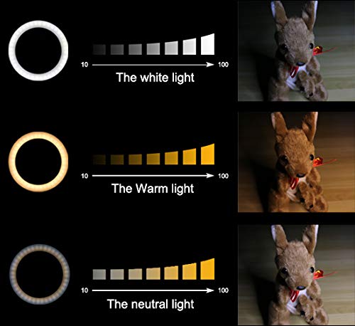 FOMITO LEDリングライト 8’’インチ スマホで撮影、人物の写り等に適用