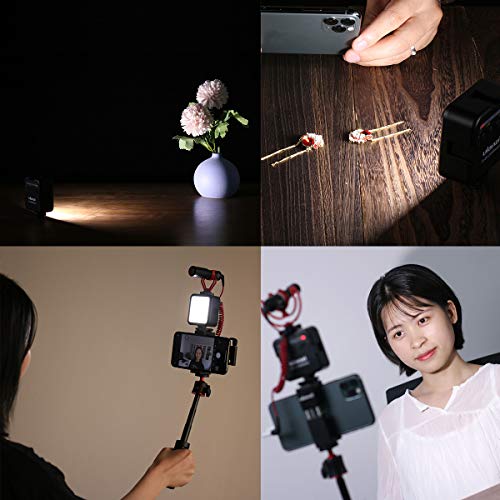 Ulanzi 49LEDビデオライト 2000mAh USB充電式 ソフト光 超高輝度 コールドシューマウント付きカメラライト iPhone Samsung Canon Nikon Sony Zhiyun Smooth 4 DJI OSMO Mobile 3 Action Gopro 5 6 7 8 pro用
