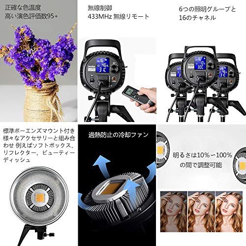 【Godox正規代理店】GODOX SL60W LEDスタジオライト60W 定常光ライト5600±300K リモコン付きBowensマウントビデオ撮影 結婚式の写真撮影 インタビューの照明に適用 (SL-60W)