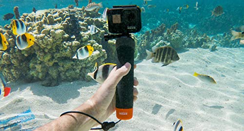 【国内正規品】GoPro(ゴープロ) THE HANDLER (ザ ハンドラー)フローティング ハンド グリップ AFHGM-002