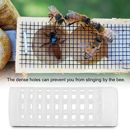 Salinr 養蜂カップキット 養蜂ケージ 女王蜂ケージ 飼育カップ セルカップビーツールセット 養蜂ツール 実用性と便利性に優れる 養蜂ケージ 10本セット