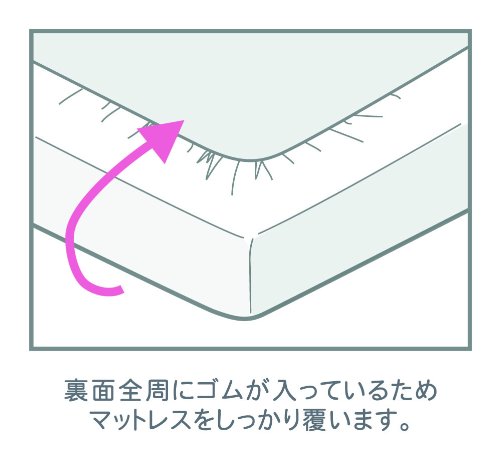 メリーナイト 綿100% 厚地 オックス ベッドシーツ シングル ベージュ 282103-96