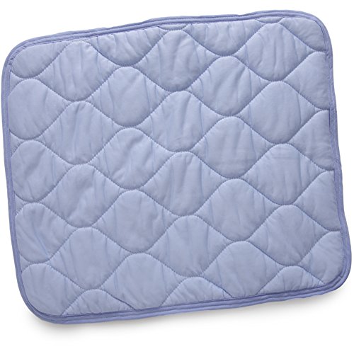 アイリスプラザ 枕カバー 2枚セット ひんやり接触冷感 抗菌防臭 丸洗い可能 心地よいサラふわ触感 枕パッド ブルー 幅約45×奥行約50㎝ QMAX0.5