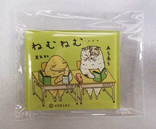 ナカジマコーポレーション(Nakajimacorp) 世にも不思議な猫世界 マグネッツ アクリル 学校 グリーン 4.2x5 cm キャラクター 125194-18