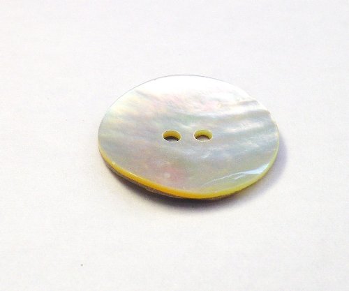 真珠の母貝　ボタン PearlShell　SH-2165 10mm 50個セット