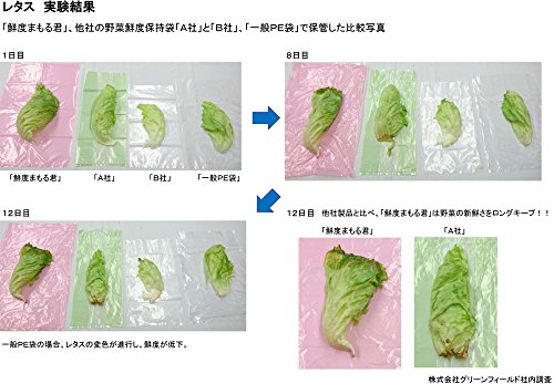 グリーンフィールド 野菜鮮度保持袋 鮮度まもる君 Lサイズ SM-905 6枚入 2個セット