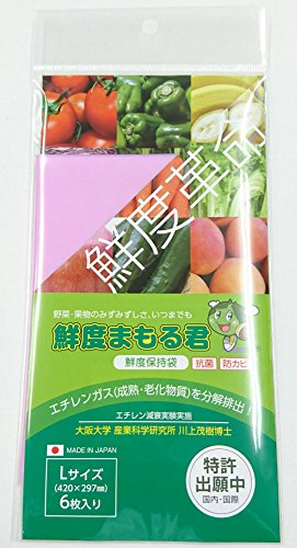 グリーンフィールド 野菜鮮度保持袋 鮮度まもる君 Lサイズ SM-905 6枚入 2個セット