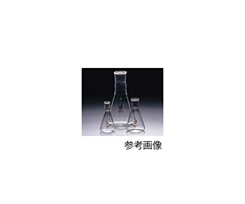 共通摺合三角フラスコ 0101-06-30 300mL /1-4330-06