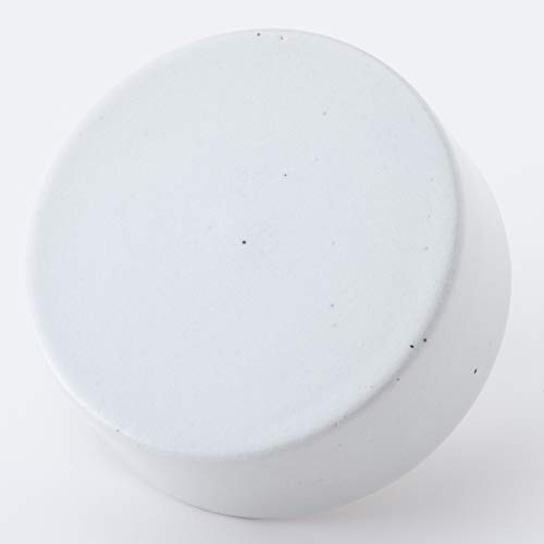 長谷製陶 漬物器 白 10.5cm 長谷園 浅漬用 重石 NBT-55