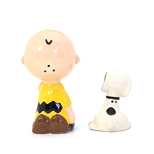 enesco 塩・コショウ入れ スヌーピー&チャーリーブラウン ペット W5×H9.5×D5.6m PEANUTS 6002276