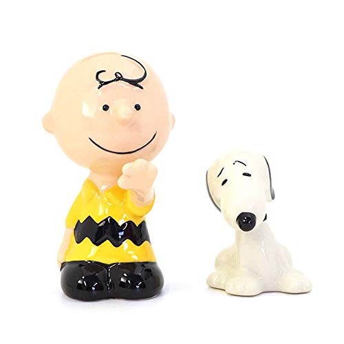 enesco 塩・コショウ入れ スヌーピー&チャーリーブラウン ペット W5×H9.5×D5.6m PEANUTS 6002276