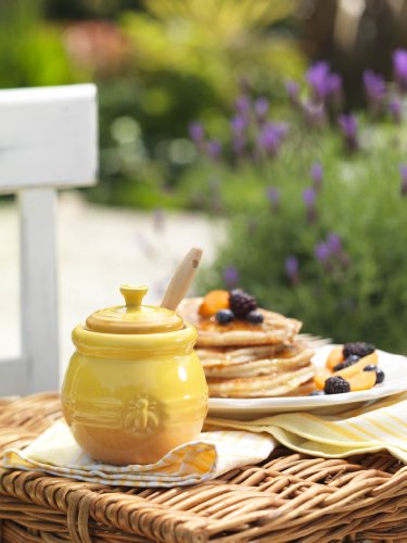 ルクルーゼ　Le Creuset Stoneware Honey Pot 「並行輸入品」