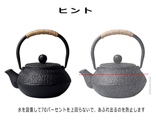 鉄瓶 やかん 南部鉄器 茶こし付き 鉄急須 鉄分補給 健康 鉄ティーポット 直火 対応 0.6L