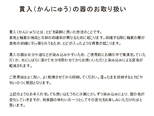 テーブルウェアイースト 抹茶茶碗 黄瀬戸点織部 信楽焼 茶道具 化粧箱入り 抹茶碗 茶碗 和食器