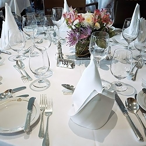 10枚セット テーブルナプキン （ナプキン ワイントーション） ダイニングルーム レストラン ホテル 47×47 (ホワイト)