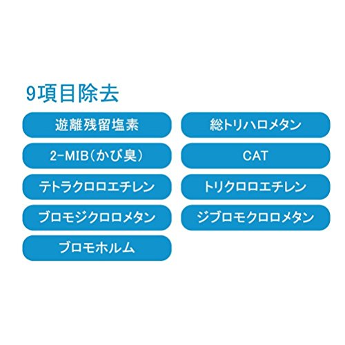 ブリタ 浄水機能付きボトル フィル&ゴー カートリッジ2個付き 600ml ブルー