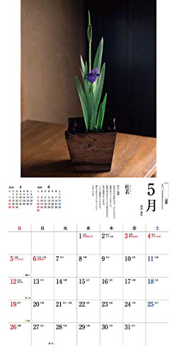 トライエックス 茶花 2019年 祝日訂正シール付き カレンダー CL-448 壁掛け 60×30cm