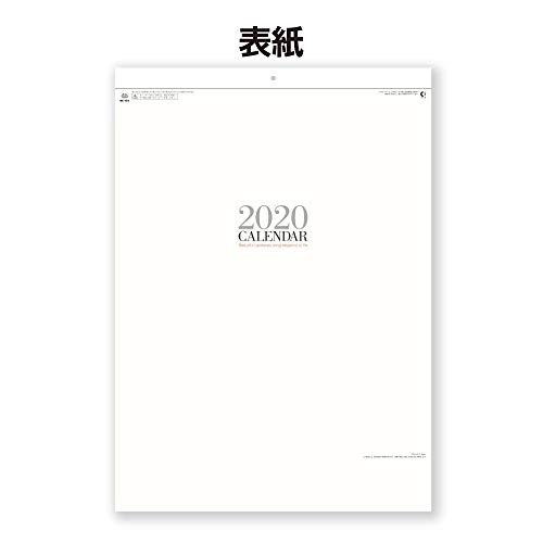 新日本カレンダー 2020年 カレンダー 壁掛け シンプルフェイス NK194