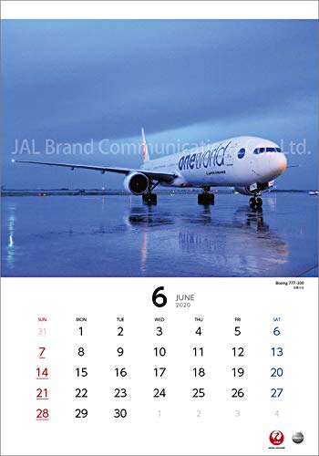 JAL「NIGHT FLIGHT」 2020年 カレンダー 壁掛け CL-1239